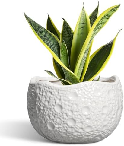 Ceramic Plant Pot, 8 Inch Round Planter with Drainage, White by Thirtypot