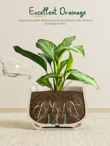 LE TAUCI Plant Pots, 4.1+5.1+6.5 inch, Set of 3, Ceramic Planters with Drainage Hole and Saucer, Indoor Flower Pot with Hole Mesh Pad, Gifts for Mom, Reactive Glaze Beige - Image 3