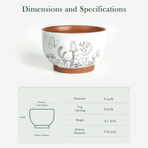 Terracotta Pots, 6 Inch Plant Pots with Drainage Holes for Indoor Plants - Image 3