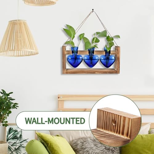 Plant Terrarium Propagation Stations Hydroponics - Image 3