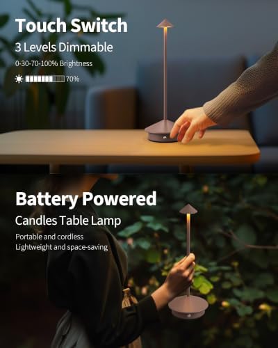 Modern Cordless Table Lamp Set of 2, Brown Portable LED Desk Lamps - Image 4
