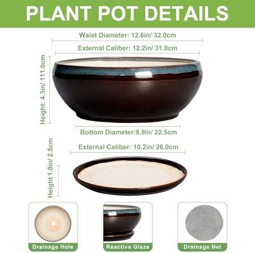 SQOWL Bonsai Planter 12 Inch, Ceramic Large Succulent Pots, Blue-Brown - Image 2