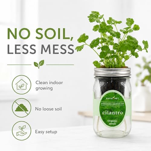 Hydroponic Herb Growing Kit, Self-Watering Mason Jar Window Herb Garden Starter Kit Indoor, Grow Your Own Herbs from Organic Seeds (Cilantro) - Image 4