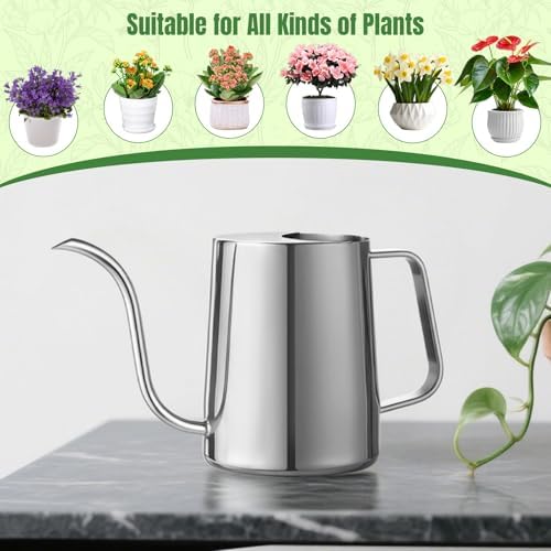 Doseno Small Watering Can for Indoor Plants, Metal, Long Spout, 34 oz/1 L - Image 6