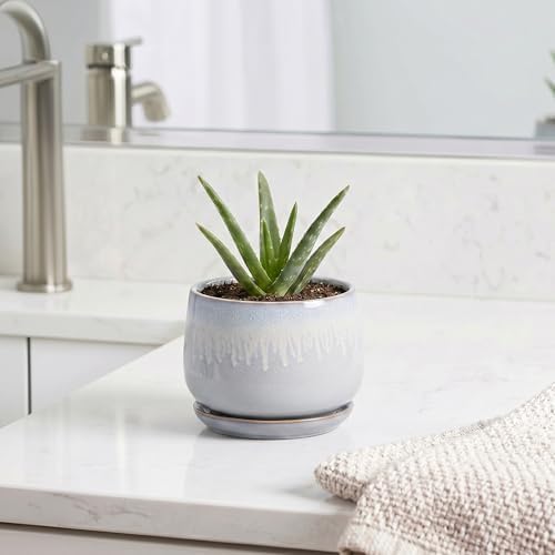 4 Inch Planter - Ceramic Plant Pots for Indoor Plants, Round Succulent Pots with Drainage and Saucer, Decorative Small Planter, Home Desktop Decor, Gardening Gifts for Women, Grey-White - Image 5