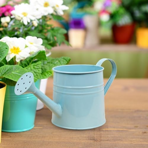 Small Watering Can, 1L Metal Flower Garden Watering Can, Gardening Tool Accessories for Outdoor Indoor Plants Lawn (Light Blue) - Image 4