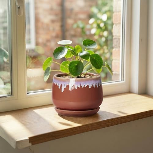 Ceramic Plant Pot - 6 Inch Planters for Indoor Plants, Round Ceramic Planter with Drainage Hole and Saucer, Decorative Small Plant Pots, Room Bookshelf Decor, Red-Purple - Image 3