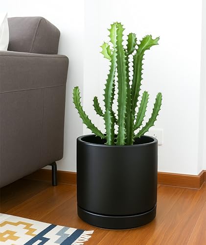 D'vine Dev 2-Pack Ceramic Pots with Saucers, Black, 10 in, 94-V-E-2 - Image 6
