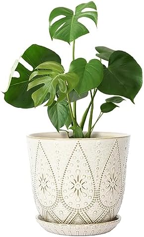 Gepege 10 Inch Ceramic Plant Pot for Indoor Plants with Drainage & Saucer by Gepege