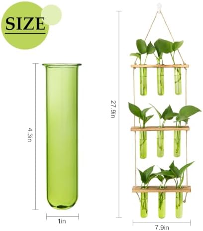 XXXFLOWER Wall Hanging Propagation Station with Wooden Stand Green - Image 2