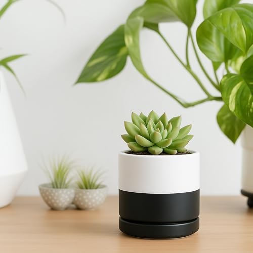 D'vine Dev 3.5 Inch Ceramic Planter Pot, Black White Two Tone, 94-O-A-L - Image 5