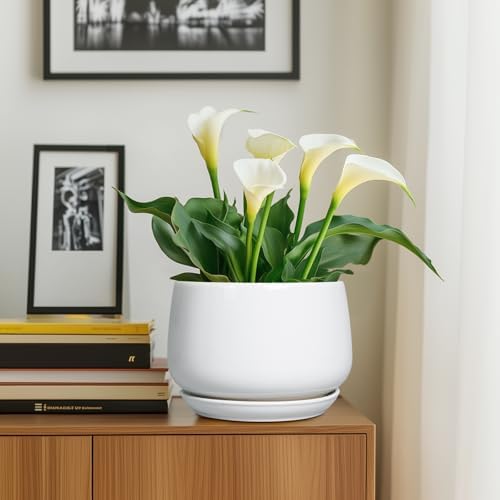 G EPGardening Ceramic Planter 9 Inch - Plant Pots with Drainage and Ceramic Saucer, Flower Pots for Indoor Plants, Modern Outdoor Planter, Living Room Decor, Gifts for Plant Lovers, White - Image 6