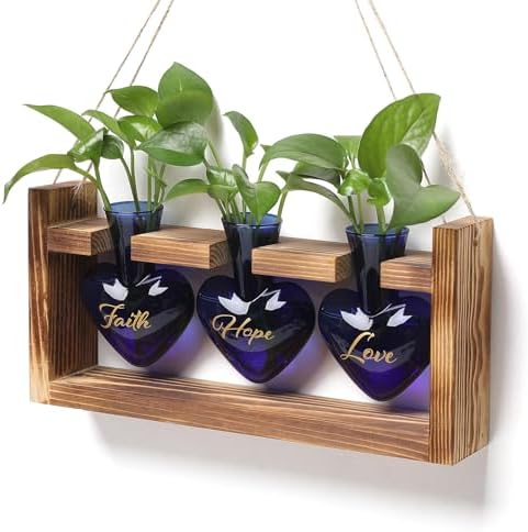 Plant Terrarium Propagation Stations Hydroponics by MTsigns