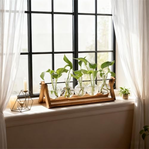 Renmxj Plant Propagation Stations with Wooden Stand & 5 Glass Bulb Vases - Image 3