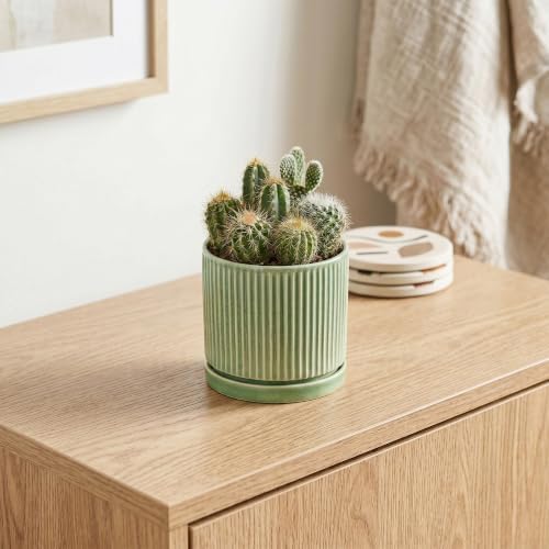 4 Inch Plant Pots, Ceramic Planter, Round Flower Pots, Green - Image 5