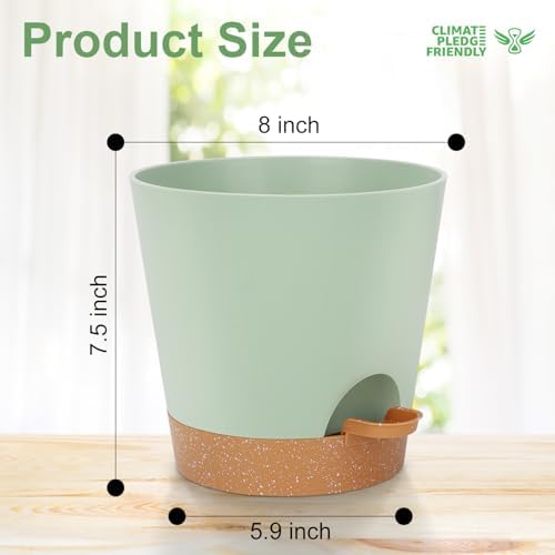 YNNICO 8-Inch Plant Pots, Self-Watering Planters with Drainage Holes & Saucers for Indoor and Outdoor Plants (2-Pack, Green) - Image 3