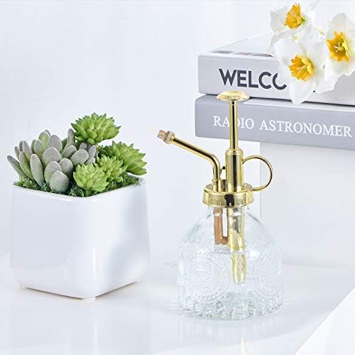 Glass Plant Mister Spray Bottle, Vintage Succulent Water Sprayer with Golden Top Pump, Small Sprayer Mister for Indoor Outdoor House Plants - Clear - Image 5