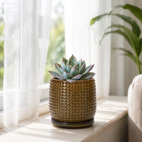 D'vine Dev Beaded Ceramic Pot with Saucer, 4 in, Olive Bronze, 27-C-Z-N - Image 5