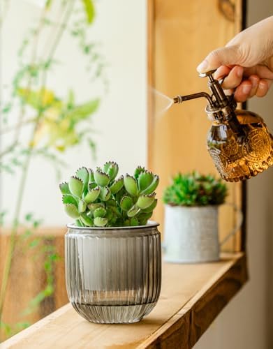 Melphoe Self Watering Pots for Indoor Plants Planter, 4.3 Inch 2 Pack Planters Self Watering Plant Pots for Flower, Houseplants, Succulent, African Violets and Cactus with Drainage - Image 4