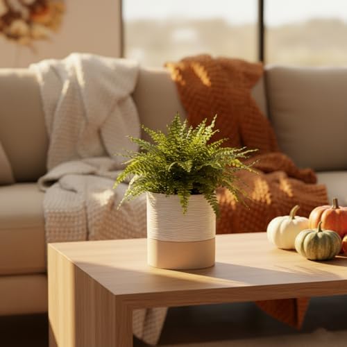 Nihow Ceramic Self Watering Plant Pot for Indoor Plants, 6 Inch,Cream White - Image 6