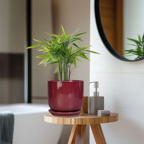 Ceramic Planter for Plants - Round Modern 7 Inch Plant Pot Indoor with Drainage Hole and Saucer, Home Patio Office Apartment Decor, Red - Image 7