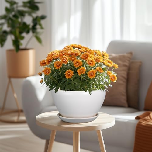 Ceramicfor Ceramic Planter - 9 Inch Plant Pot Indoor with Drainage Hole and Saucer for Outdoor Plants Mid-Century Round Planter Modern Flower Pot for House Garden White - Image 4