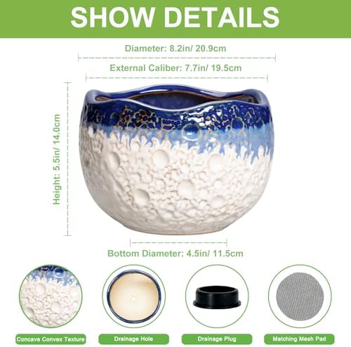 Ceramic Planter 8 Inch, Ceramic Plant Pots Indoor, Beige-Blue - Image 2