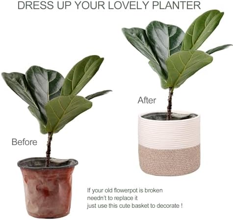Planter Baskets for Indoor 11" Cotton Rope 11"x11"Khaki - Image 4