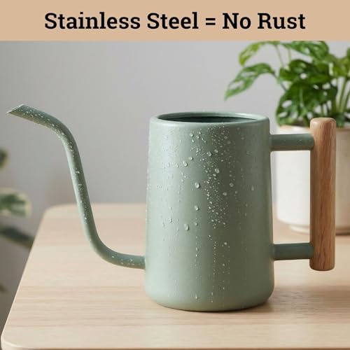 Metal Small Indoor Watering Can with Long Spout & Real Wood Handle, 35oz - Image 3