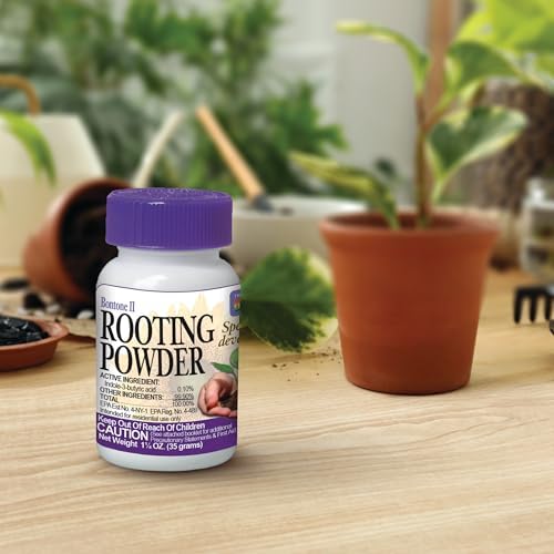 Bonide Bontone II Rooting Powder, 1.25 oz Ready-to-Use Dust for Houseplants and Transplants Speeds Root Development (Pack of 4) - Image 4