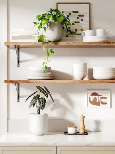 LE TAUCI 6 Inch Plant Pot, Ceramic Planter for Herbs & Small Houseplants, Tabletop Indoor Pot for Shelf, Desk and Windowsill, Small Planter with Drainage Hole & Rubber Plug, White - Image 2