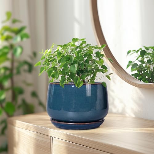 G EPGardening Ceramic Pot for Plants - Modern 7 Inch Round Planter with Drainage and Tray Indoor Outdoor for Flower, Porch Decor, Gardening Gifts, Retro Blue - Image 6