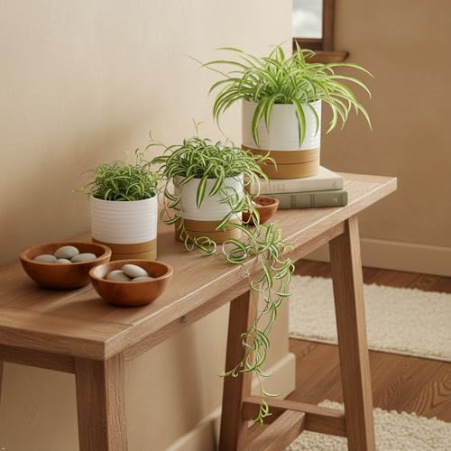 HASENSE Planters for Indoor Plants, 8+6+4.6 Inch Ceramic Plant Pots Indoors with Drainage Hole and Tray, Dual Contrast Glaze Flower Planters for Herb Snake Succulent, Set of 3, White - Image 5