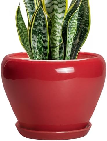 Ceramicfor Ceramic Planter for Indoor Plants, 8 Inch, Glossy Red by Ceramicfor