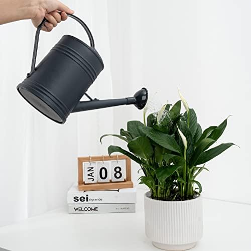 Plastic Indoor Watering Can with Sprinkler Head - 68 oz, 1/2 Gallon - Image 4