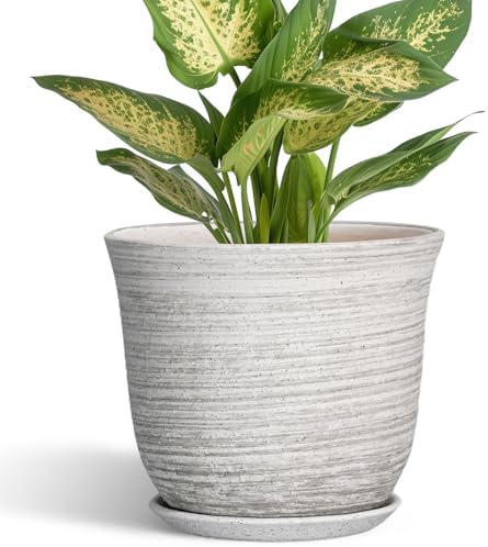 Ceramic Pots for Plants - 5.6 Inch Plant Pot with Drainage Hole and Tray, Round Succulents Pots for Indoor Outdoor, Decorative Planters, Home Room Office Decor, Gifts for Plant Lovers, Grey by SUNPOTFOR