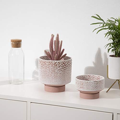 UBEE Planter Ceramic Flower Pot for Indoor Plants | 5.5 inch + 4.9 inch Plant Pot with Saucer and Drainage Hole for Aloe, Snake Plants, Pothos, Orchid, Terracotta with White Glaze Dot - Image 4