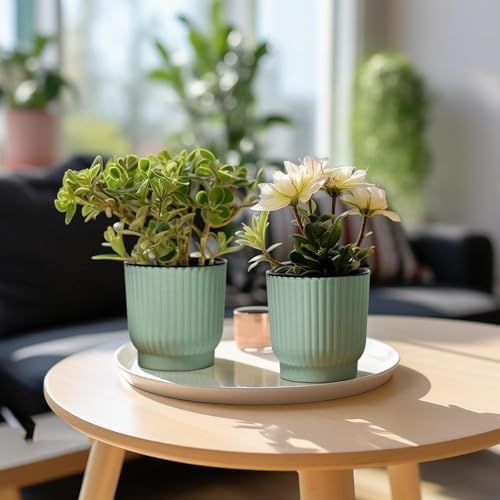 T4U Self Watering Pots for Indoor Plants, 4.5 Inch 6 Pack Planter Green - Image 5
