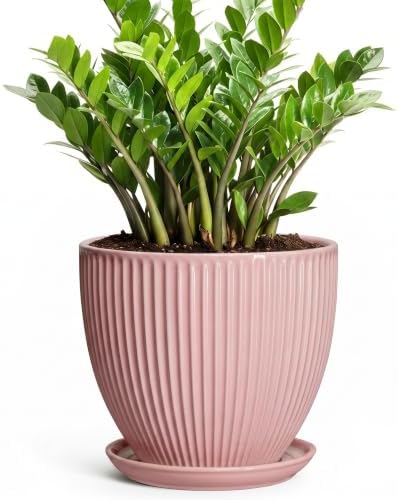 10 Inch Flower Pot Ceramic, Indoor Planters for Flowers Snake Plants, Decorative Large Planter with Drainage Hole and Saucer, Round Ceramic Plant Pots, Modern Home Decor, Gardening Gifts, Pink by Unknown