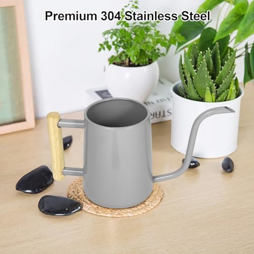 Watering Can Indoor Plants, 35 oz/1000 ml Metal Stainless Steel Watering Can Pot with Long Spout for Indoor House Plants Bonsai Outdoor Garden Flower Decorative (Gray) - Image 2