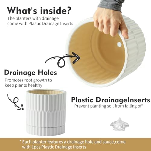 HASENSE Ceramic Plant Pots Set of 3, 8/6/4.6 Inch Cylinder Flower Planters with Drainage Saucers, Vertical Ribbed Modern White for Home Office & Outdoor Plants - Image 6