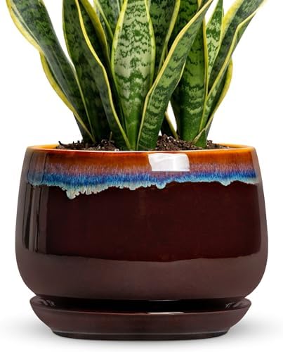 9 Inch Flower Pots - Ceramic Planter with Drainage Hole and Saucer, Decorative Ceramic Pots for Indoor Plants, Round Plant Pot, Garden Home Living Room Decor, Housewarming Gifts, Brown-Blue by Fivepot