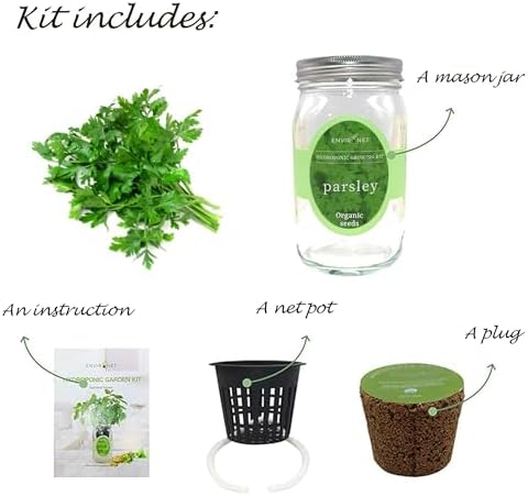 Hydroponic Herb Growing Kit, Self-Watering Mason Jar Herb Garden Starter Kit Indoor, Windowsill Herbs Garden, Grow Your Own Herbs from Organic Seeds (Parsley) - Image 3