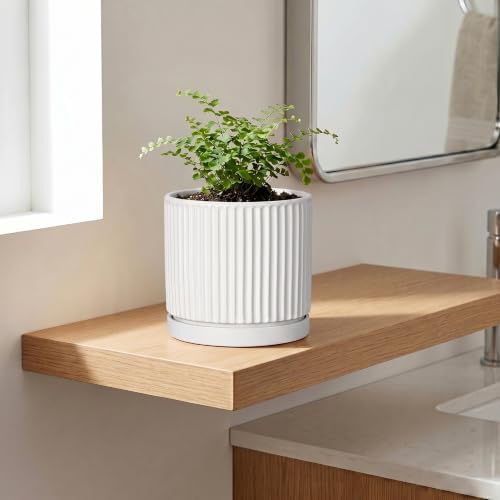 Ceramic Plant Pots 6 Inch, Round Pots for Plants with Tray, White - Image 3