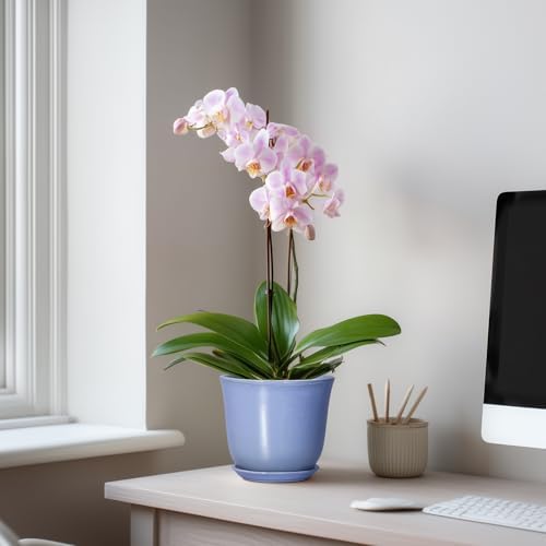 Ceramic Plant Pots, 5.6 Inch Plant Pot for Indoor, Purple-Blue - Image 7