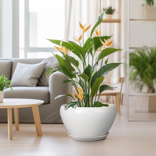 Ceramicfor Planter for Indoor Plants 13 Inch - Ceramic Plant Pot with Drainage Hole and Saucer Decorative Round Large Planter Pot for Plants Outdoor Flower Pot for Room Decor White - Image 2