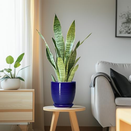 Ceramic Plant Pot - 6 Inch Pots for Plants, Round Ceramic Planters with Drainage Hole and Saucer, Decorative Flower Pots for Indoor Plants, Room Desk Decor, Housewarming Gifts, Glossy Blue - Image 6