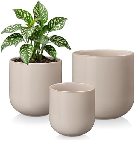 vancasso 6+8+10 inches Ceramic Plant Pots, Set of 3, Planters with Drainage Hole, Flower Pots Planters Pots for Indoor Plants, Modern Indoor Decorative Garden Pot, Home Decor, Gray by vancasso