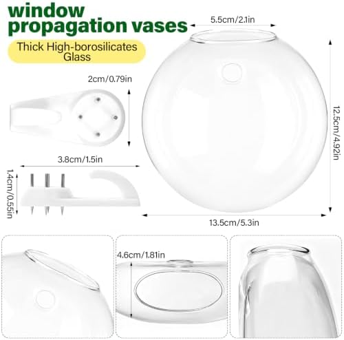 Window Propagation Stations, Oblate Glass Terrariums Planter - Image 2