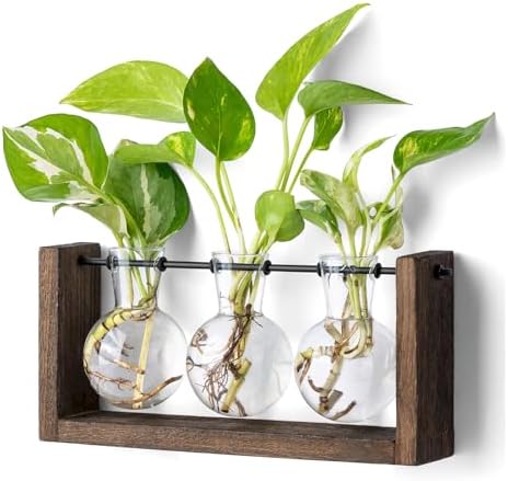Mkono Plant Propagation Station Hanging Desktop Wooden Stand 3 Vases Holder by Mkono